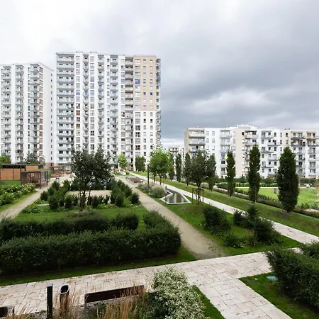 Arena Superior By Bookinghost